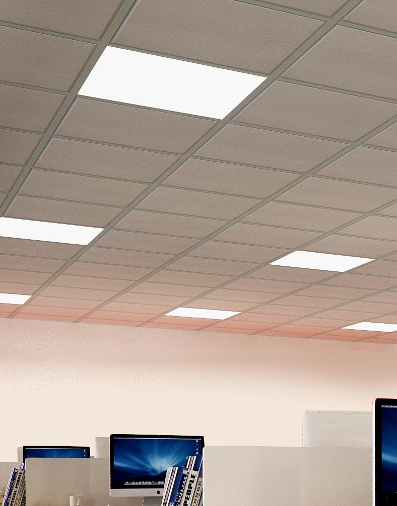 DDpay钱包(China)官网